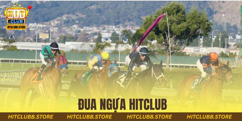 đua ngựa hitclub