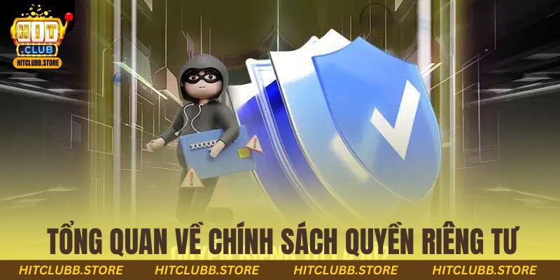 Tổng quan về chính sách quyền riêng tư